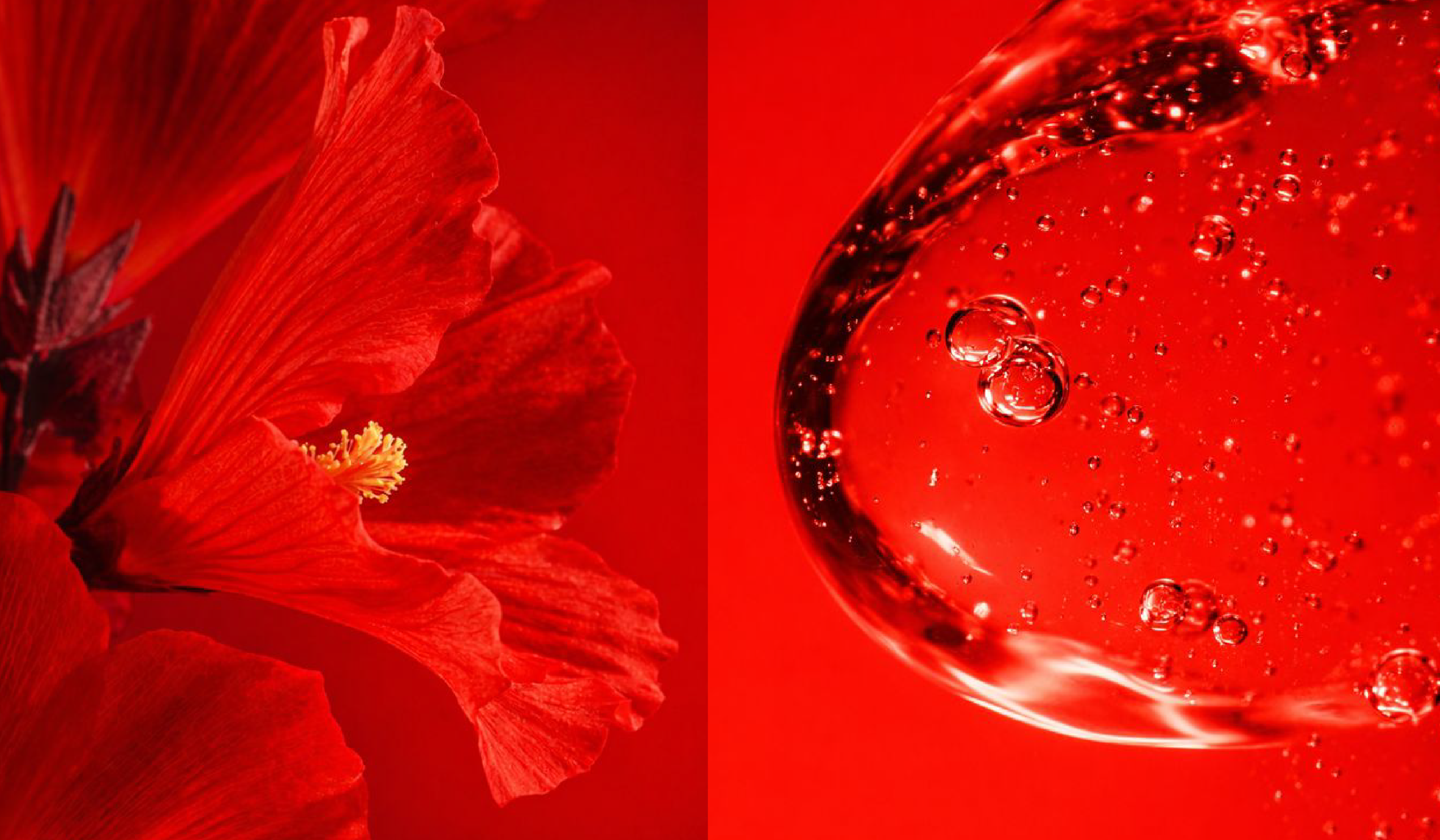 The Story Behind Our Ingredients